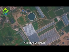 Landwirtschaftliches kommerzielles Gewächshausprojekt