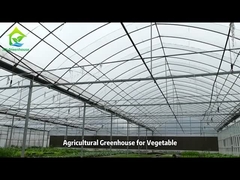 Poly-Tunnel-Plastikfolie-Gewächshaus für Gemüse