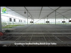 Drahtnetz wachst Tisch und Ebb Flut Rollbank wachst Tisch für Gewächshaus