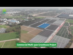 Poly-Kunststoff-Folientunnel, mehrfeldriges Gewächshaus für den landwirtschaftlichen Gemüseanbau