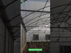 Sägezahn-Design Tropischer Kunststofffolien-Gewächshaus