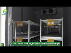 Mehrschichtige Ebbe- und Flut-Grow-Tisch-Rollbank-Grow-Racks mit Licht