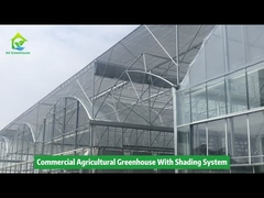 Kommerzielle landwirtschaftliche Sondergrößen-Glasgewächshaus-Gemüse-/Blumenverwendung