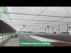 Poly Tunnel Gewächshaus Projekt für Setzlinge