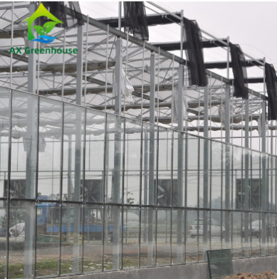Werbung milderte Glas-Venlo-Art Gewächshaus Multispan für landwirtschaftliches