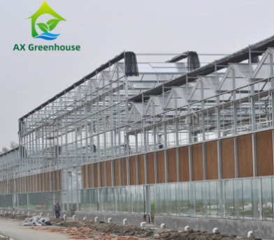 Werbung milderte Glas-Venlo-Art Gewächshaus Multispan für landwirtschaftliches