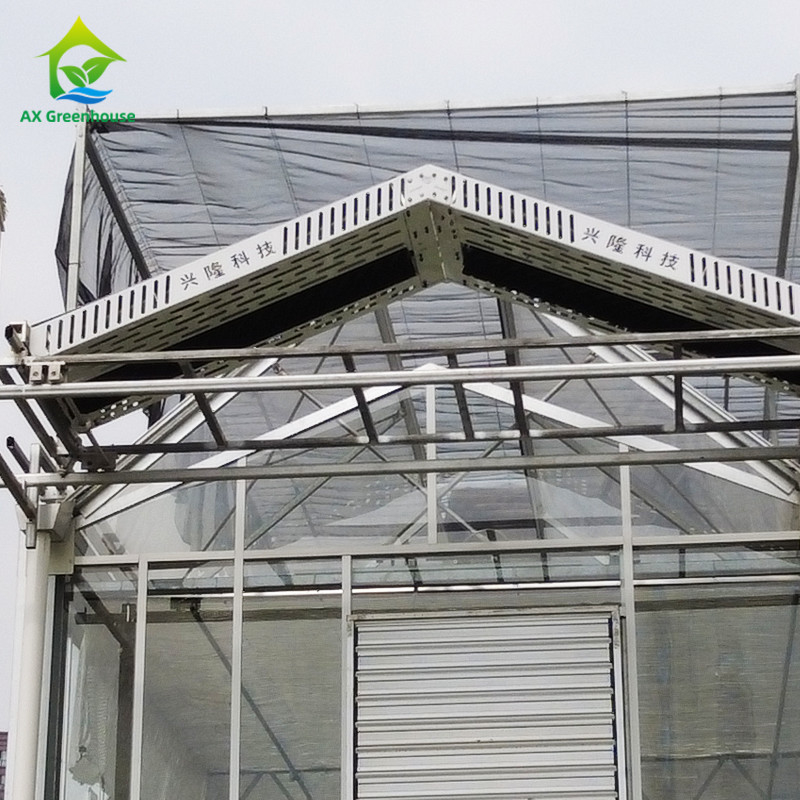 9.6m/10.8m/12m Breite Aluminiumlegierungsrahmen Landwirtschaftsglas Venlo Mehrspannung Gewächshaus mit Dreiecksdachform