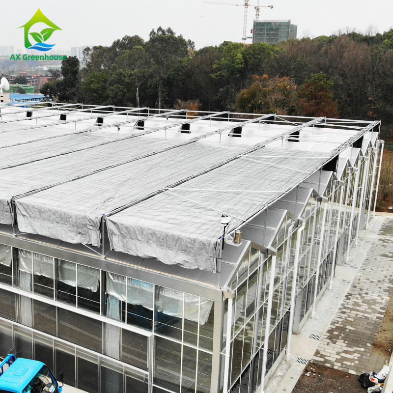 Hot Dip Galvanized Stahlkonstruktion Dreieckdach Formen 30*20m kommerzielle kundenspezifische automatische Gewächshaus Venlo Glas Gewächshaus