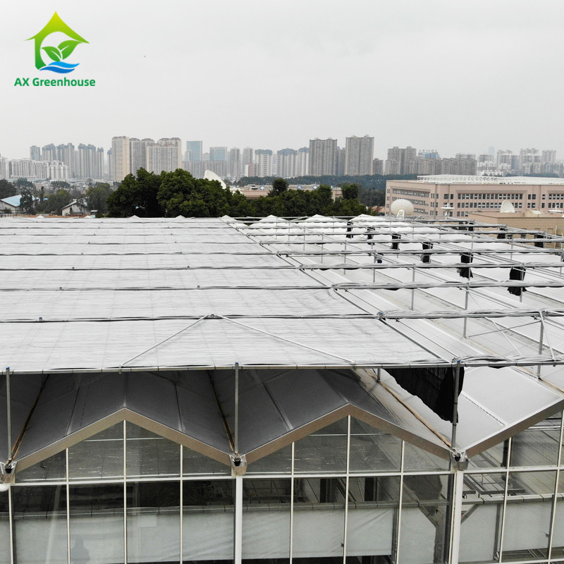 Hot Dip Galvanized Stahlkonstruktion Dreieckdach Formen 30*20m kommerzielle kundenspezifische automatische Gewächshaus Venlo Glas Gewächshaus