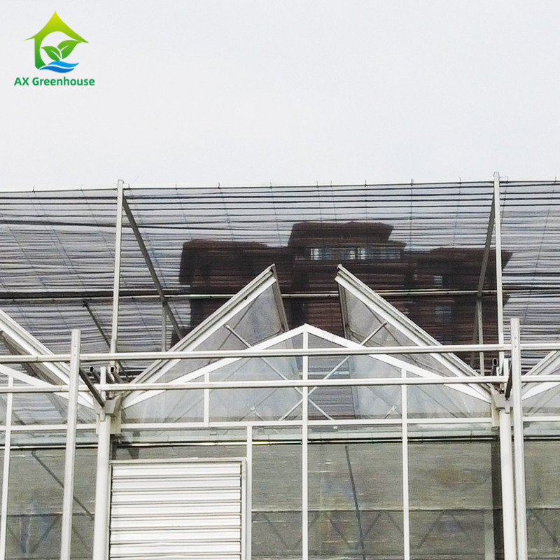 9.6m/10.8m/12m Breite Aluminiumlegierungsrahmen Landwirtschaftsglas Venlo Mehrspannung Gewächshaus mit Dreiecksdachform