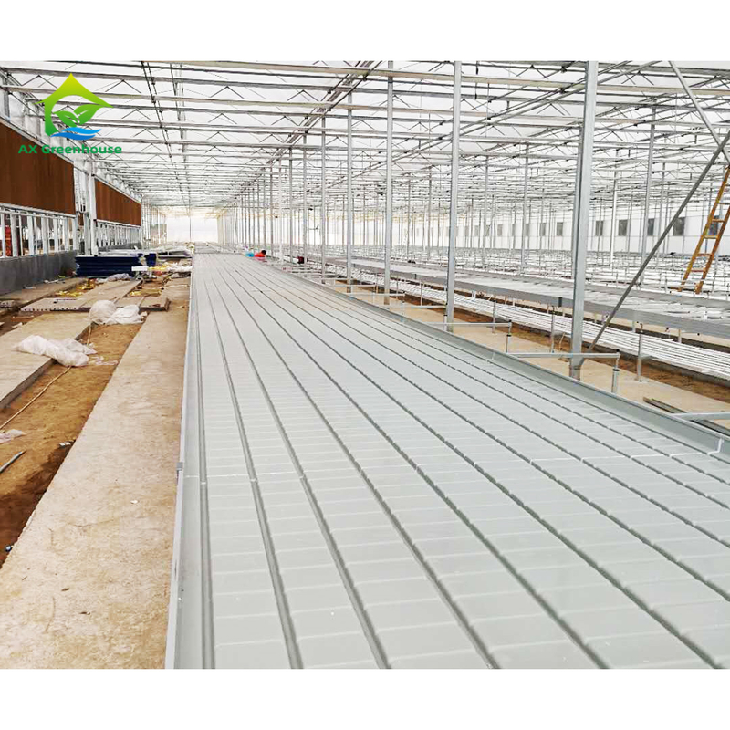 Bodenlose Kultur Gewächshaus Innenraum Maßgeschneiderter Ebb Grow Table Rollbank für Saatgut