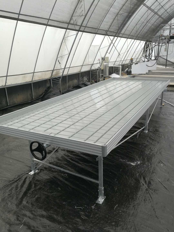 Wachsen Sie Tabellen-Flut-Tray Rolling Ebb And Flow-Bank für Blumen-Gewächshaus-Sämling