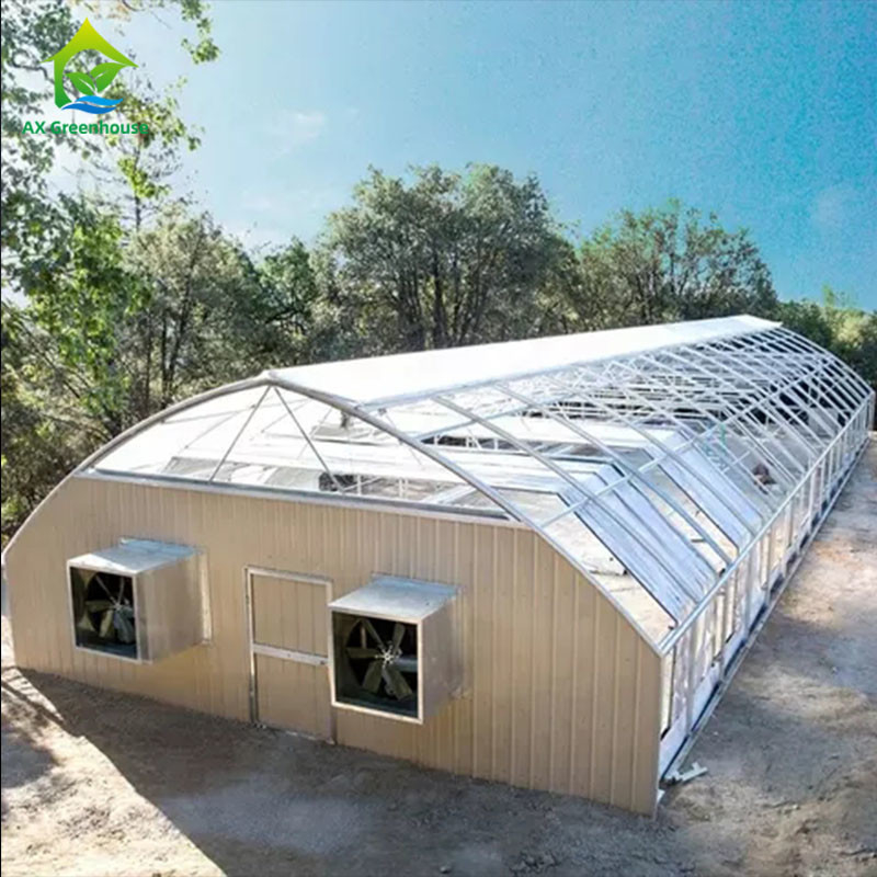 Entzug-Gewächshaus-Selbststromausfall-hohes Tunnel-Gewächshaus 100% PET Film-220V heller für das Pflanzen von Mariguana