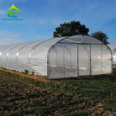 Hohe Festigkeit Einfache Installation Poly Tunnel Gewächshaus Insektenprävention Produktion erhöhen