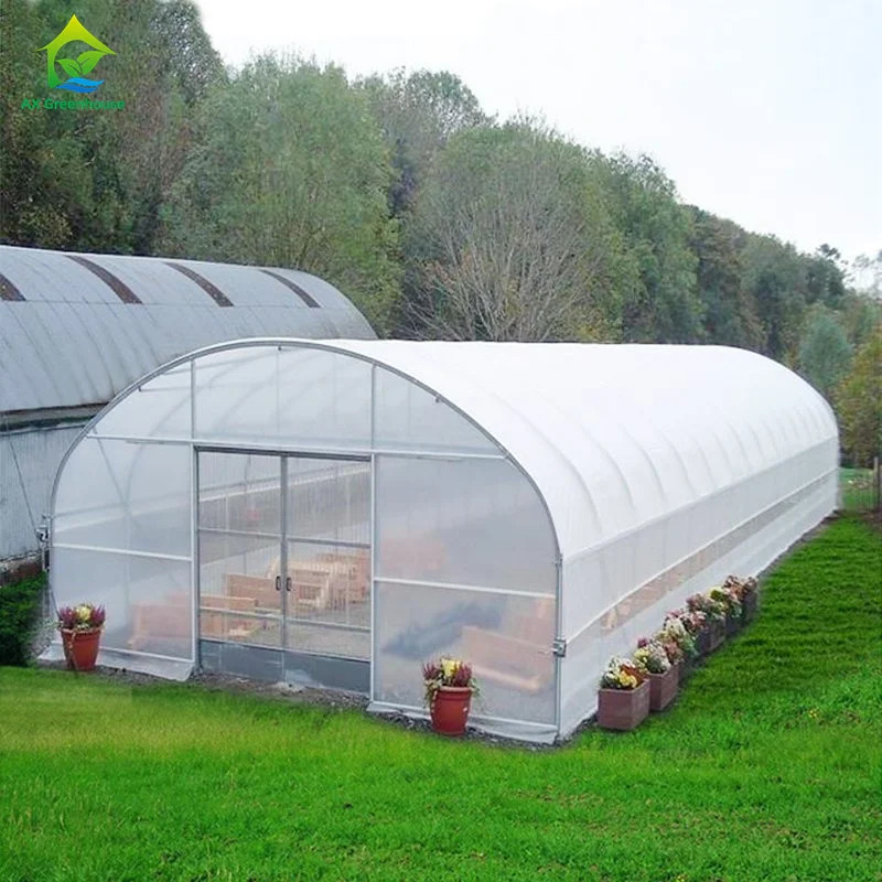 Hohe Festigkeit Einfache Installation Poly Tunnel Gewächshaus Insektenprävention Produktion erhöhen