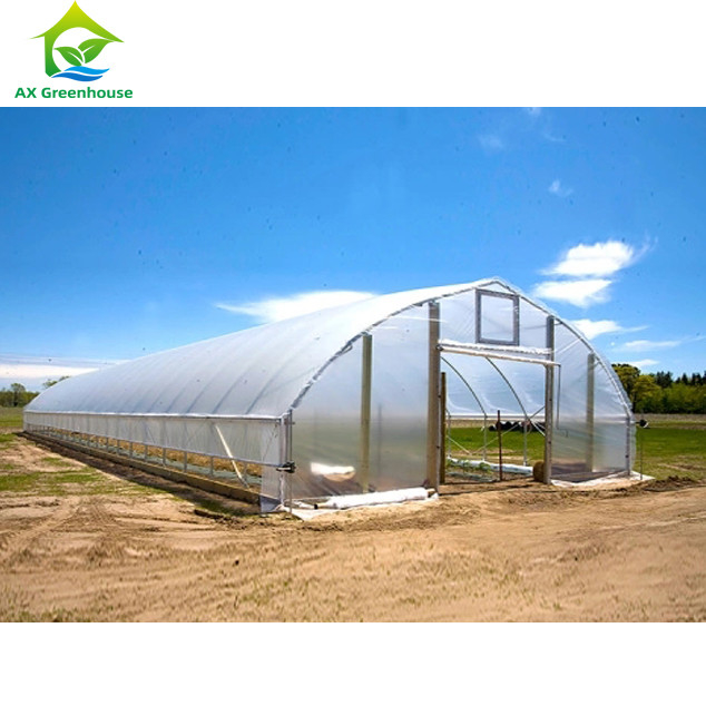 Hohe Festigkeit Einfache Installation Poly Tunnel Gewächshaus Insektenprävention Produktion erhöhen