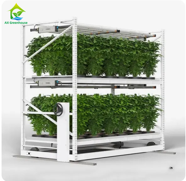 Innenraum-Doppelschicht-Gemüse-Heilkräuter-Grower-Rack für vertikalen Anbau