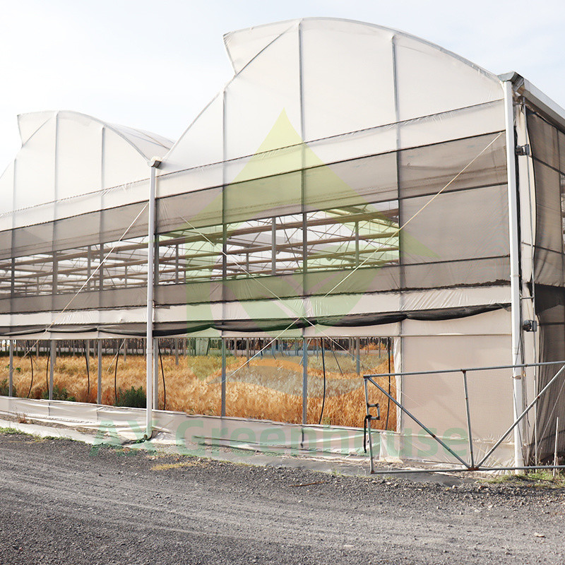Stahlkonstruktion UV-beständige Folie Poly Tunnel Mehrspannung Gemüse Gewächshaus für Tomaten