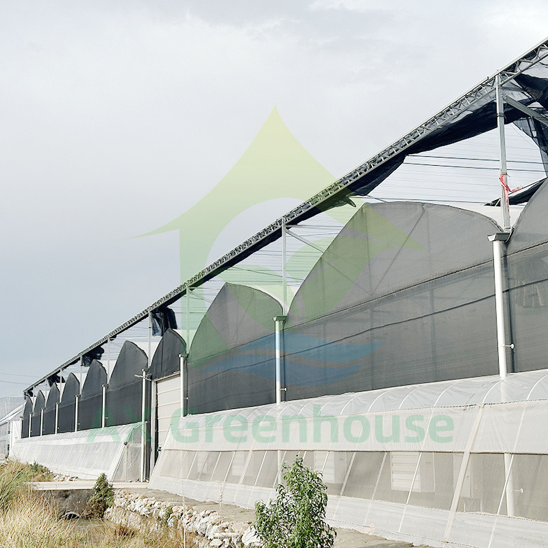 Poly-Tunnel-Treibhaus für Obst und Gemüse mit Schattennetz