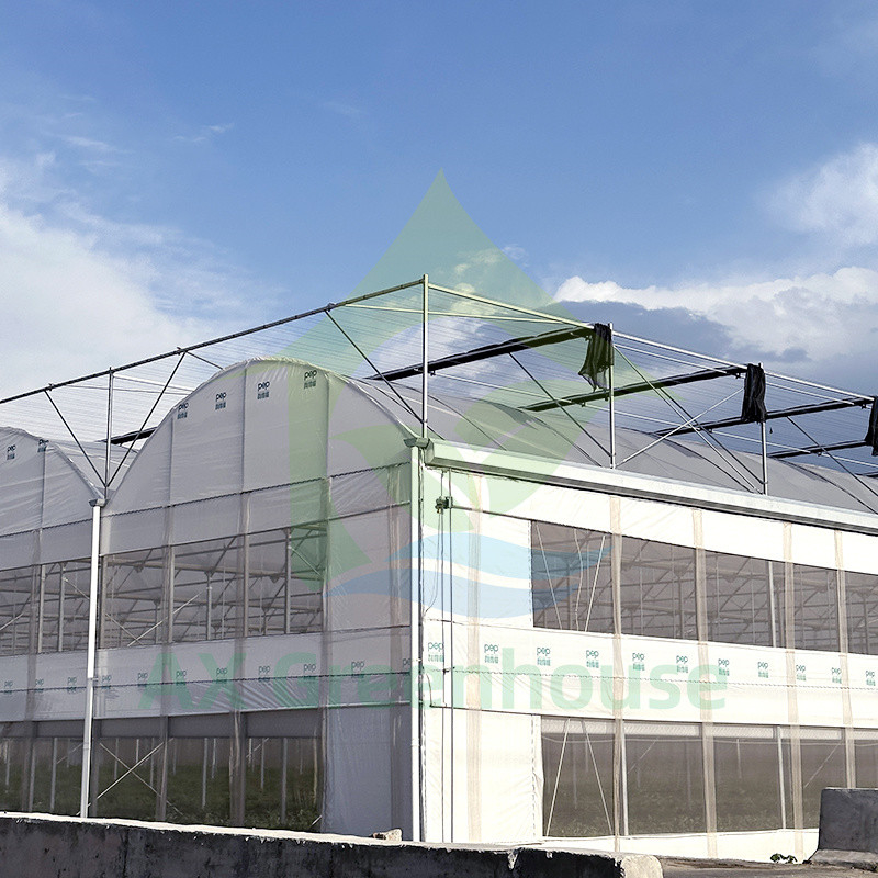 Poly-Tunnel-Treibhaus für Obst und Gemüse mit Schattennetz