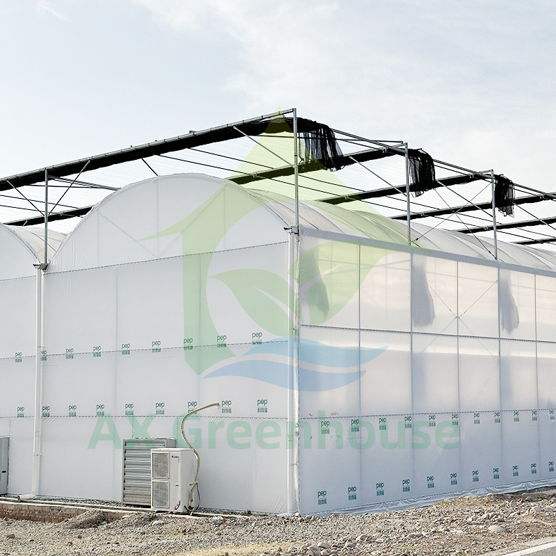 Poly-Tunnel-Treibhaus für Obst und Gemüse mit Schattennetz