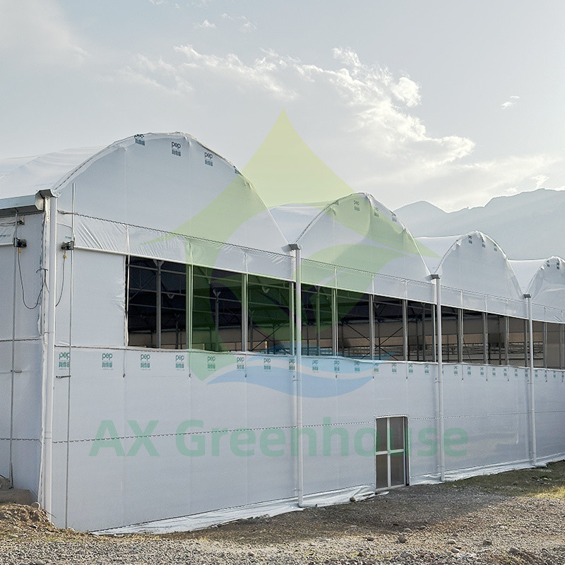 Poly-Tunnel-Treibhaus für Obst und Gemüse mit Schattennetz