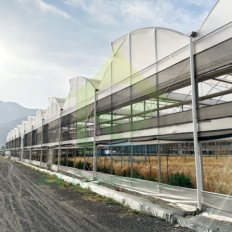 Poly-Tunnel-Treibhaus für Obst und Gemüse mit Schattennetz