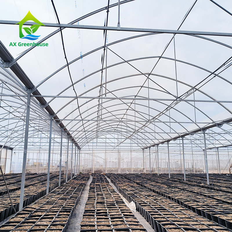 Multi Span Tropical Metal Frame Struktur Tomate Poly Tunnel Gewächshaus für Obst und Gemüse