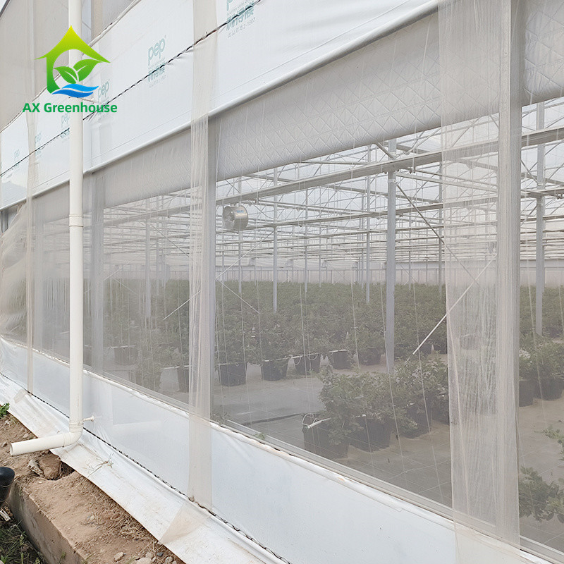 Multi Span Tropical Metal Frame Struktur Tomate Poly Tunnel Gewächshaus für Obst und Gemüse