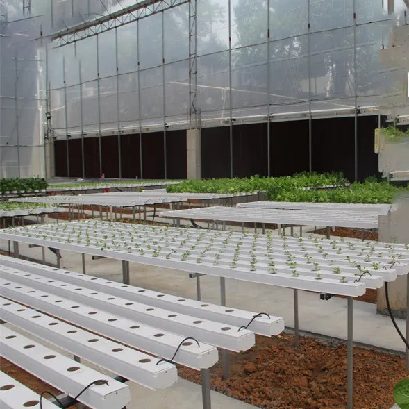 Soilless Indoor Farming Erdbeeren wachsen PVC-Rohr für Hydroponik NFT-System zum Verkauf