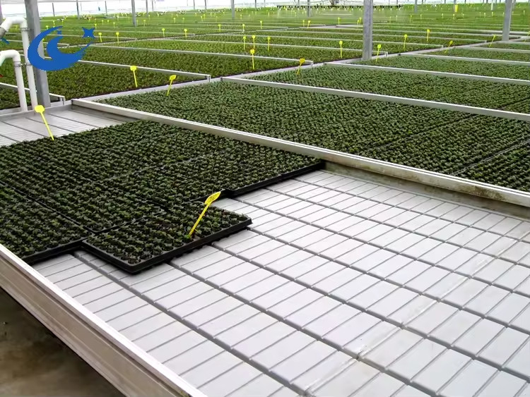 Gewächshaus Rollbänke Wachstumstisch für Tomatenpflanzen Saatgut Ebb And Flow Bewässerungssystem