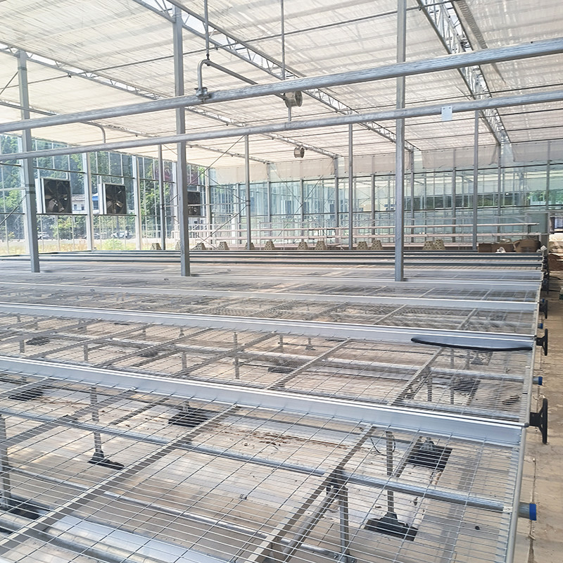 Landwirtschaftliche Gewerbe-Indoor Mesh Draht Gewächshaus wachsen Tisch Rollbank für die Aussaat
