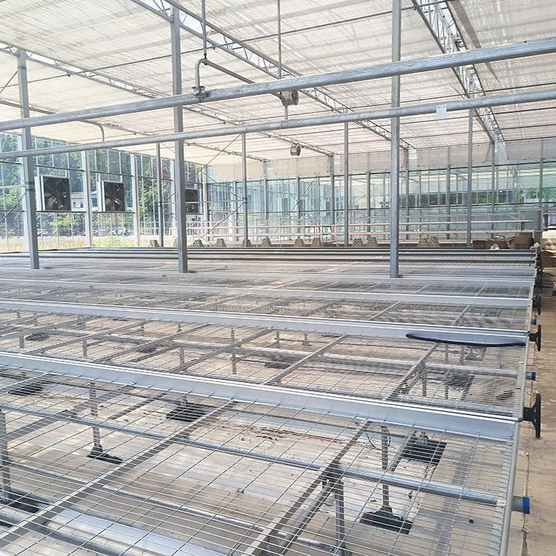 Kundenspezifischer Gewächshaus-Rollwagen-Anbautisch mit einfachem Konstruktionsvorteil und feuerverzinkter Stahlrahmenstruktur