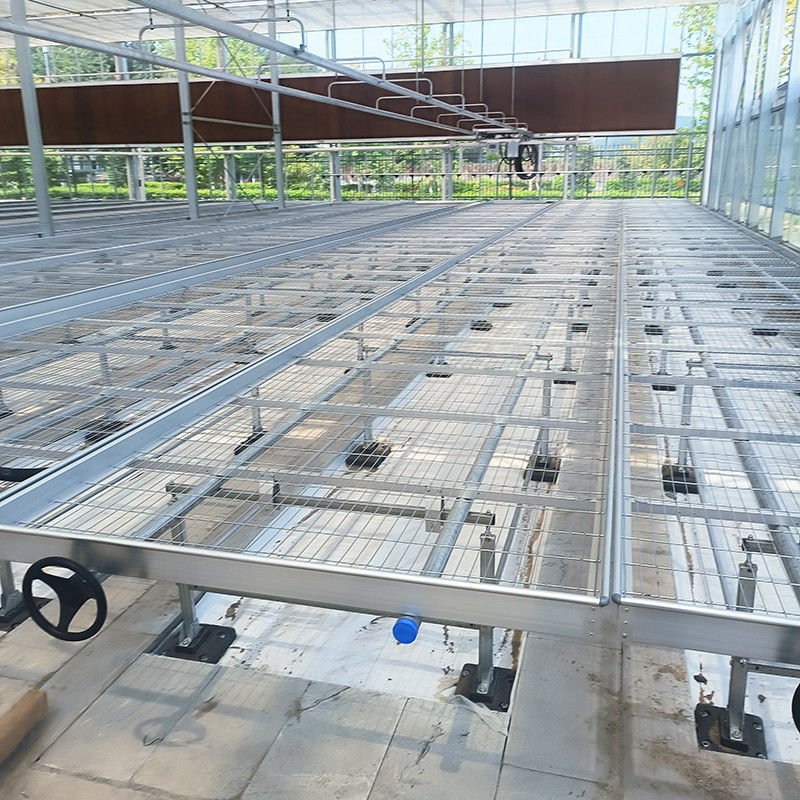 Leichte, vielseitige Gewächshaustische, erweiterbar für den Anbau verschiedener Pflanzenarten, rostbeständig