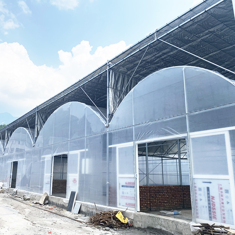 UV-beständig 30x10m Kunststofffolie Gewächshaus für Tomaten und Gemüse mit Folie