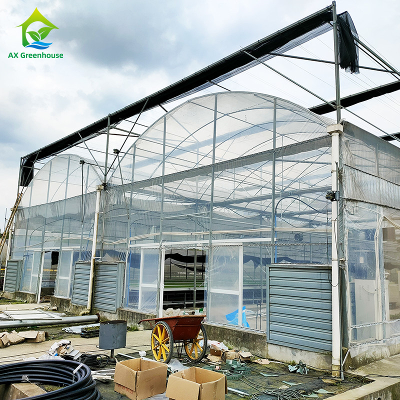 UV-beständig 30x10m Kunststofffolie Gewächshaus für Tomaten und Gemüse mit Folie