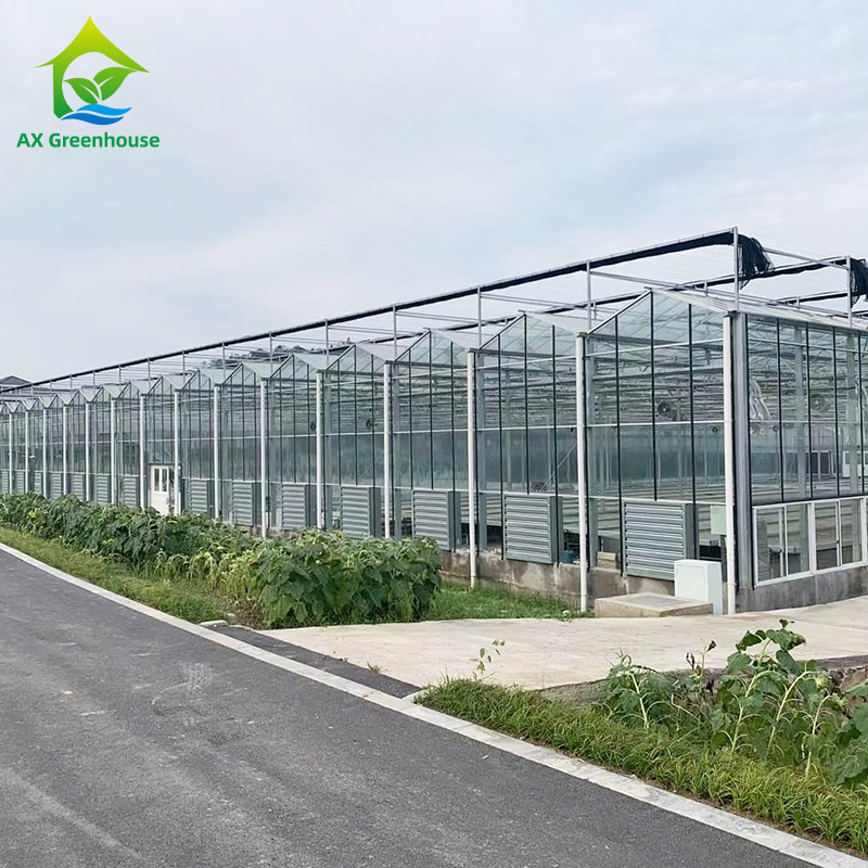 9.6m/10.8m/12m Breite Aluminiumlegierungsrahmen Landwirtschaftsglas Venlo Mehrspannung Gewächshaus mit Dreiecksdachform