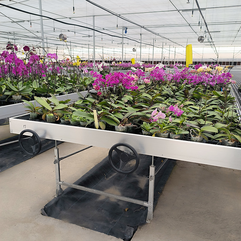 Gemachte Blumenzucht Innenbeete Pflanzenbaustelle Wachstumstisch Rollbank zum Verkauf