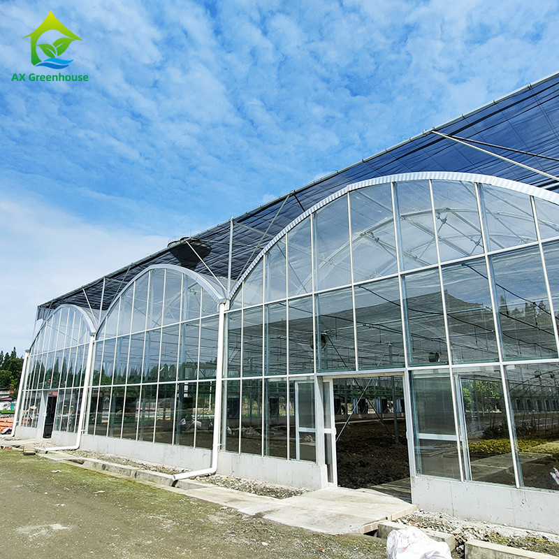 Dreieckdachformerei Handelsgewerbe Großkanal Glashaus Blumenbau Gotische Gewächshaus