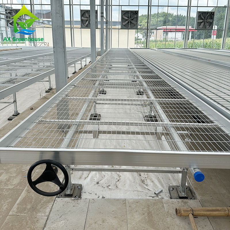 Gewächshaus Indoor Hydroponic Ebb And Flood Rolling Benches Wachsen Samen Tisch Für das Sämmen