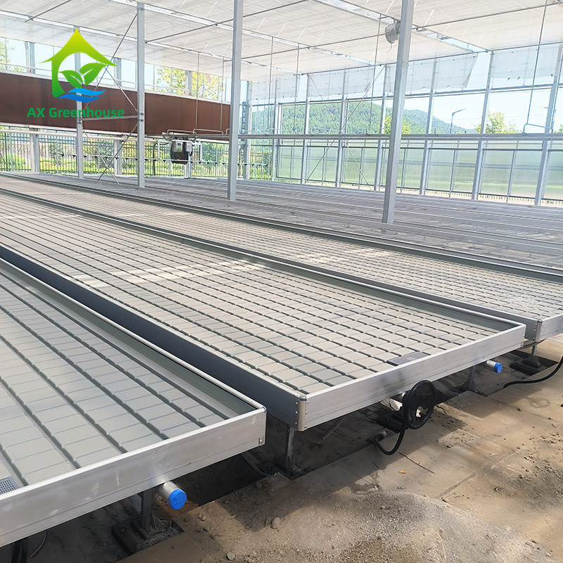 Gewächshaus Rollbänke Wachstumstisch für Tomatenpflanzen Saatgut Ebb And Flow Bewässerungssystem