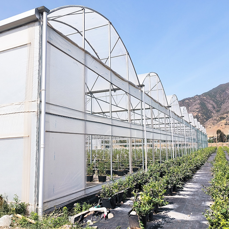 UV-beständig 30x10m Kunststofffolie Gewächshaus für Tomaten und Gemüse mit Folie