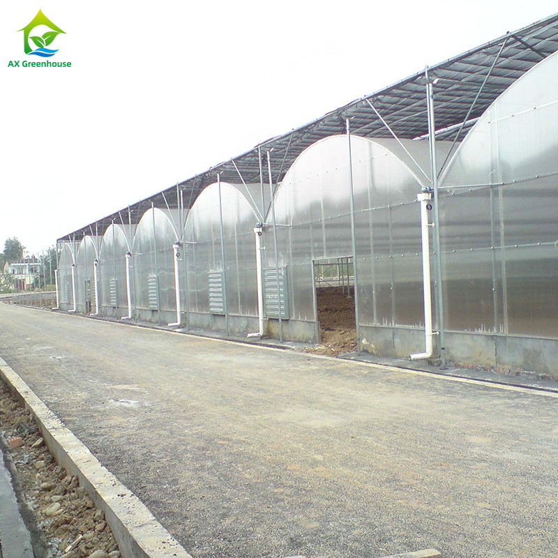 Stahlkonstruktion UV-beständige Folie Poly Tunnel Mehrspannung Gemüse Gewächshaus für Tomaten