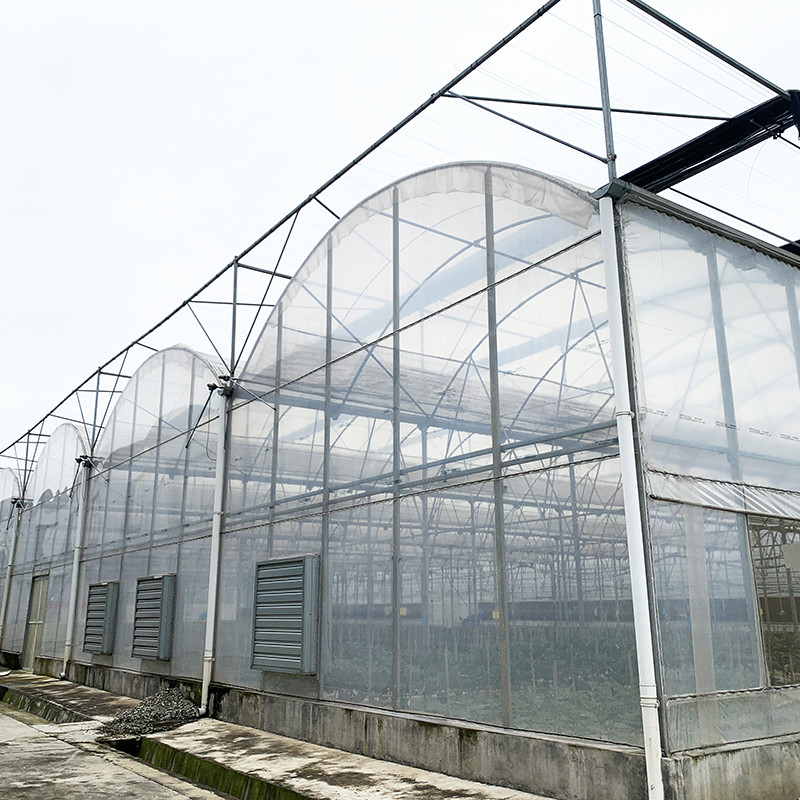 Stahlkonstruktion UV-beständige Folie Poly Tunnel Mehrspannung Gemüse Gewächshaus für Tomaten