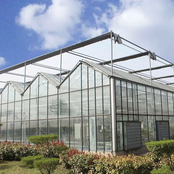 Hot Dip Galvanized Stahlkonstruktion und verstärkte Glasbedeckung für eine optimale Belüftung in landwirtschaftlichen Glas Gewächshäusern