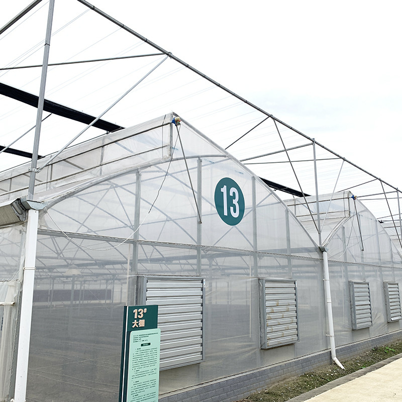 Stahlkonstruktion Sägezahn Polyfilm Niedertunnel Landwirtschaftliches Mehrspann-Gewächshaus für eine nachhaltige Gemüseproduktion