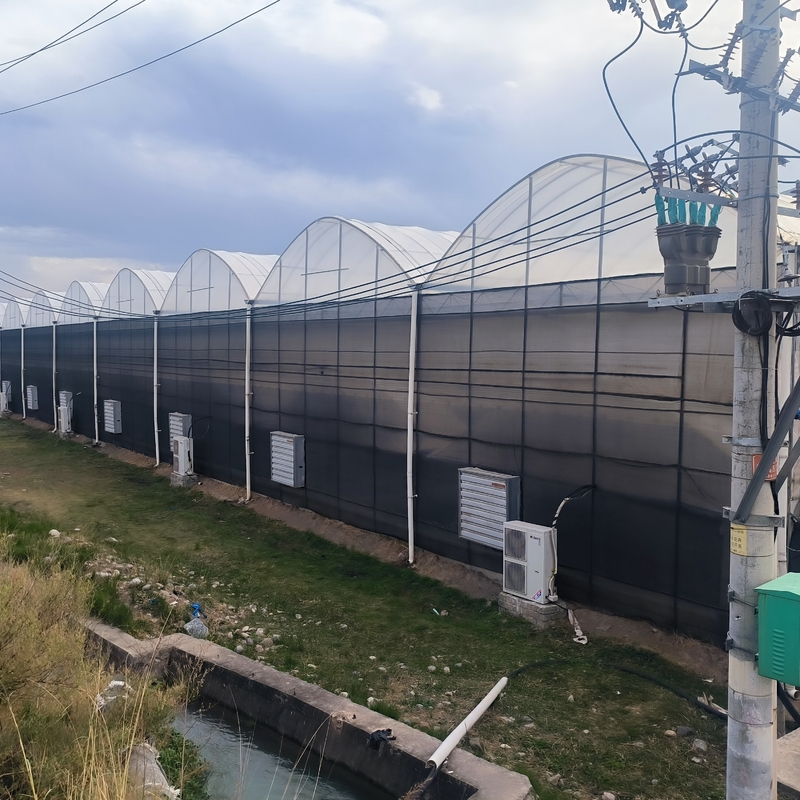 Stahlkonstruktion Landwirtschaftliche Poly-Tunnel Schwarzes Schattieren Mehrspann-Gewächshaus mit optionalem Kühlsystem