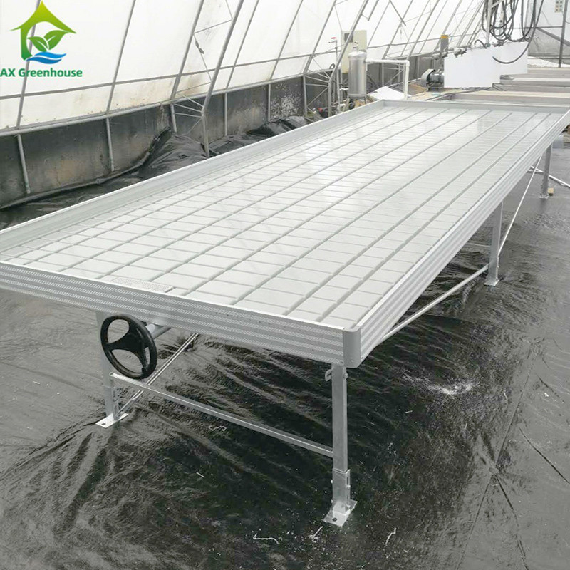 Ebb Flow Custom Doppelschichten Flut wachsen Tisch Saatbett Rollbank Beweglich und für Blumen geeignet