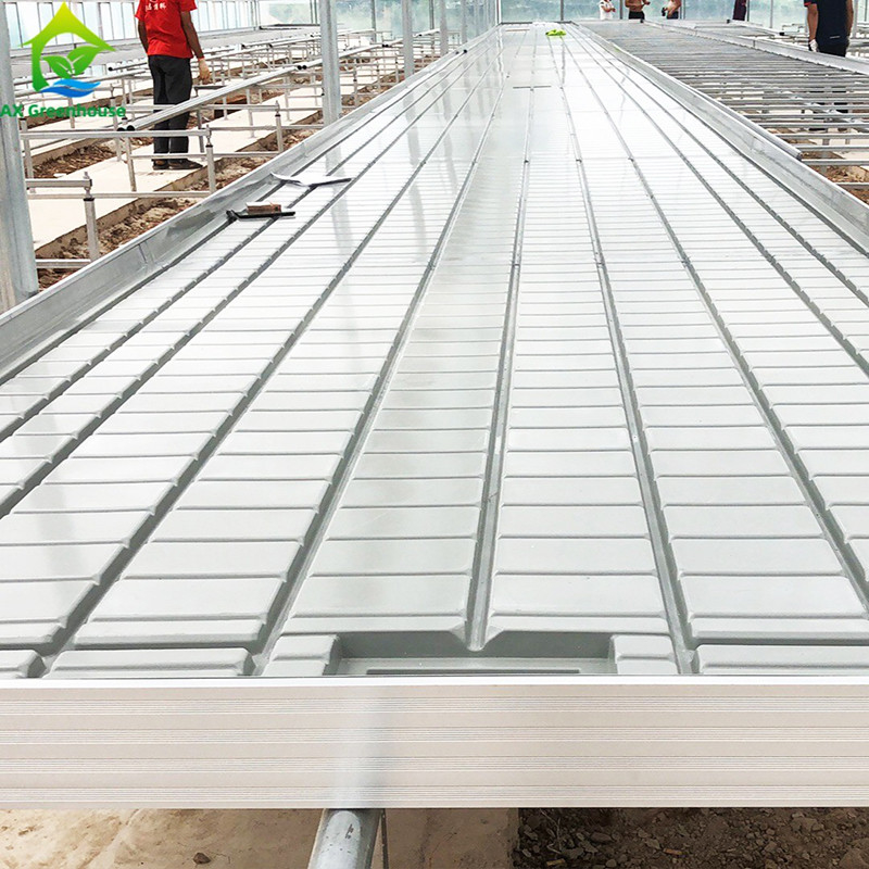 Anpassungsgröße Rollbank Saatbett für Tomatenpflanzen Anbau Tisch Ebb Flow Innenanbau