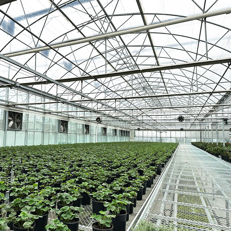 Stahlkonstruktion UV-beständige Folie Poly Tunnel Mehrspannung Gemüse Gewächshaus für Tomaten